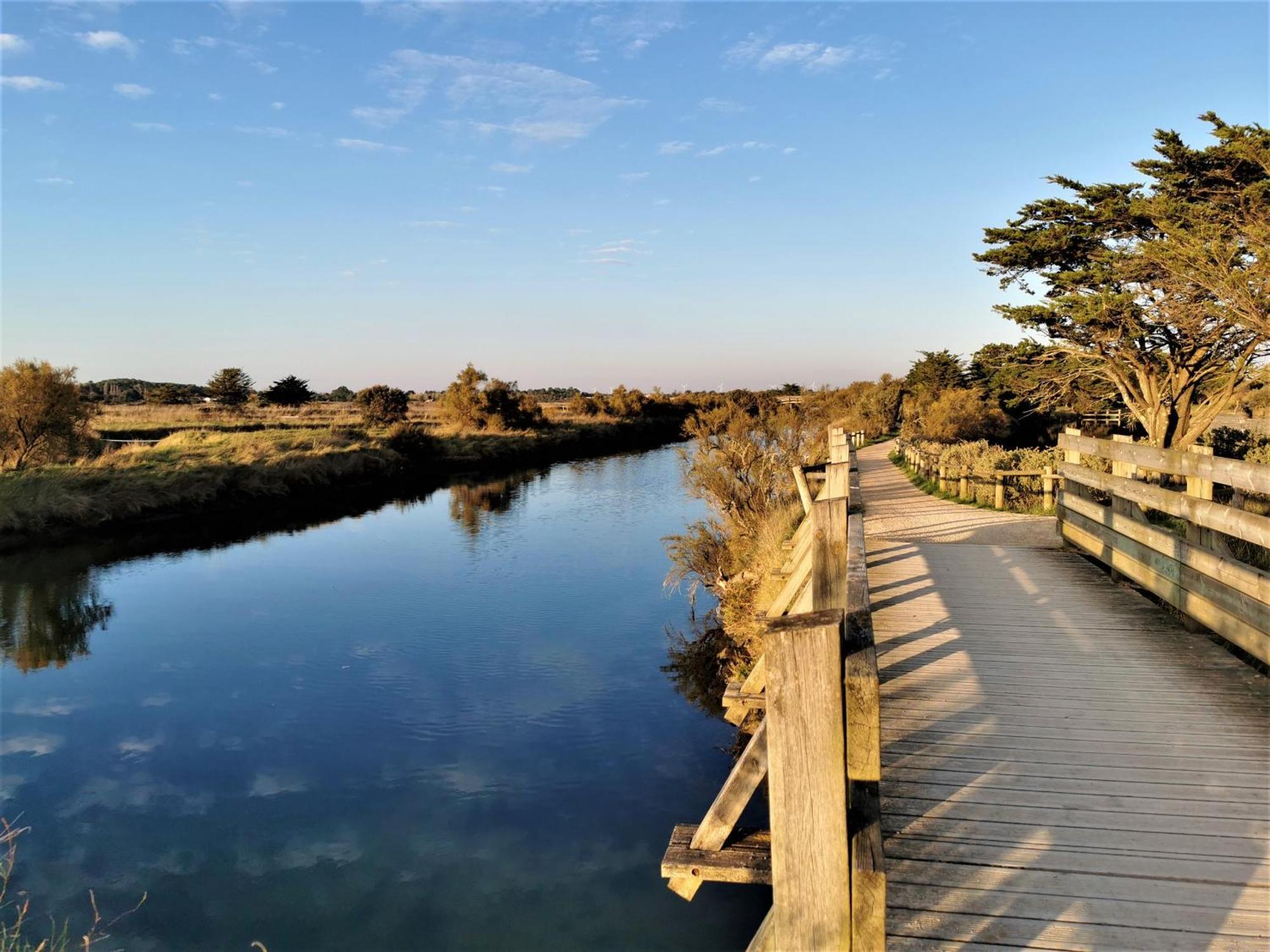 Vila La Lezardiere A Deux Pas Des Quais Les Sables-dʼOlonne Exteriér fotografie