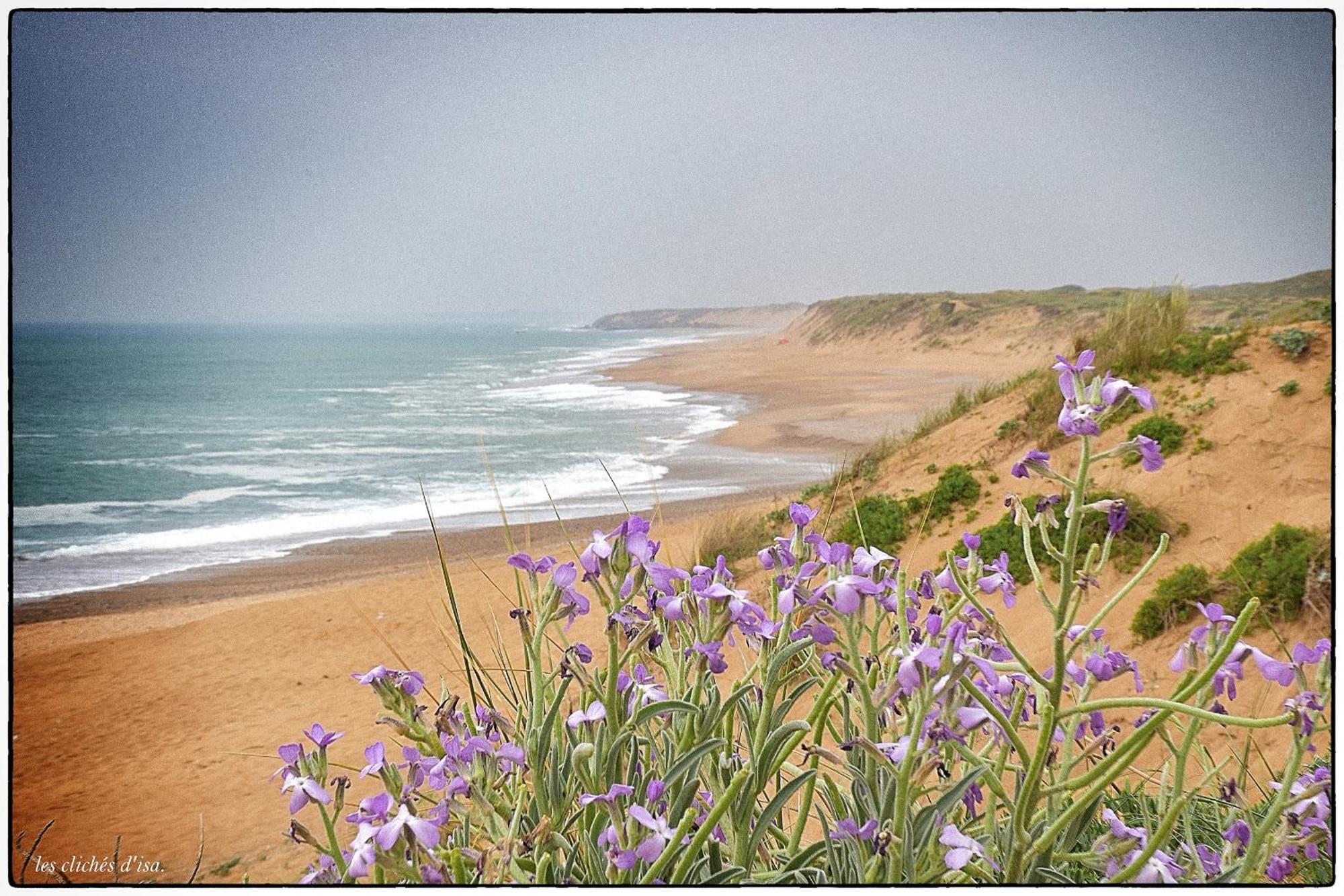 Vila La Lezardiere A Deux Pas Des Quais Les Sables-dʼOlonne Exteriér fotografie